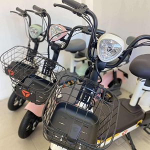 rangdhonu trade YADAE TEENA Smart, Stylish & Eco-Friendly Electric Scooter